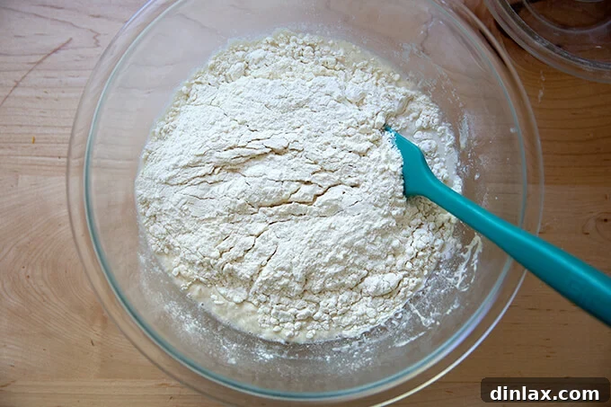 Adding bread flour to the wet ingredients for the ciabatta dough.