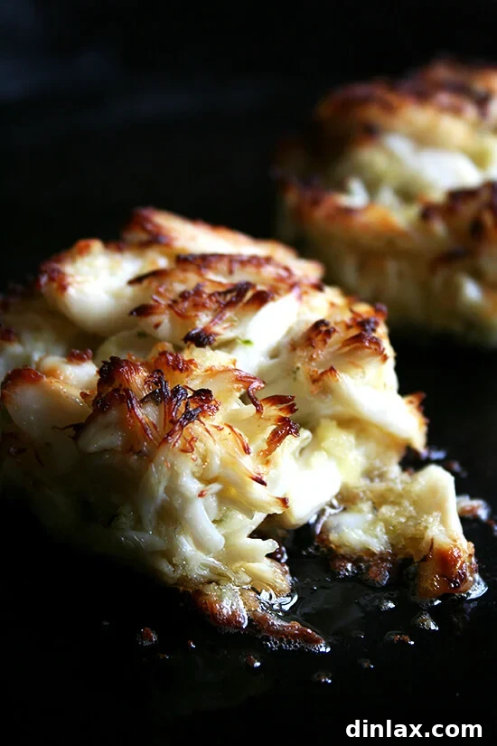 Broiled, lightly seasoned, meaty, Dockside crabcakes embody everything I hope for in a crabcake. Because the cakes are broiled, the cakes can (and should) be delicately and loosely formed. A nearly falling-apart crab cake will ensure that the mayonnaise and panko (or pulverized Saltines or bread crumbs or whatever you are using) are doing their job as binders but nothing more. Broiled, lightly seasoned, meaty, Dockside crabcakes embody everything I hope for in a crabcake. Because the cakes are broiled, the cakes can (and should) be delicately and loosely formed. A nearly falling-apart crab cake will ensure that the mayonnaise and panko (or pulverized Saltines or bread crumbs or whatever you are using) are doing their job as binders but nothing more.