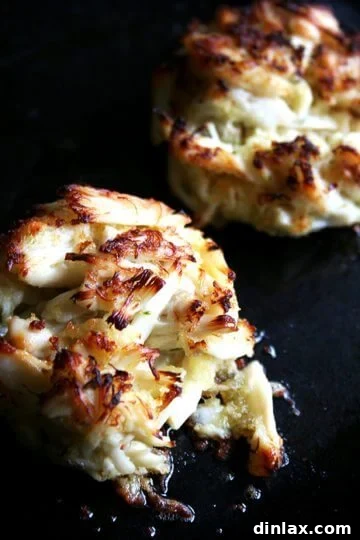 A perfectly broiled Maryland crab cake with a delicate golden crust.