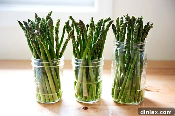 Effortless Balsamic Parmesan Roasted Asparagus 3 Fresh green asparagus spears stored upright in glass jars with a small amount of water at room temperature.