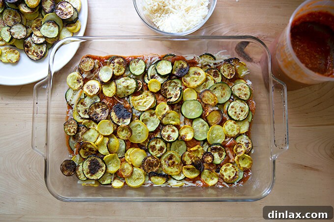 A 9x13-inch baking pan with the first layers of summer squash, tomato sauce, and parmesan beautifully arranged.