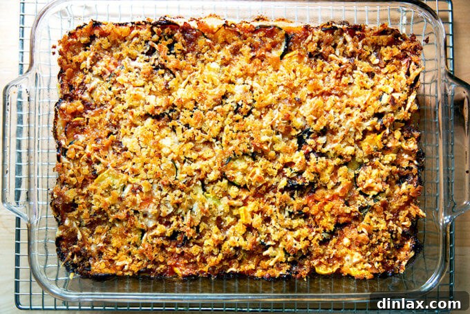 A close-up of just-baked zucchini parmesan, golden and bubbling, glistening with cheese and sauce.