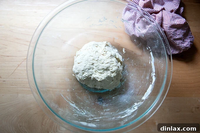 Just-mixed Detroit-style yeasted pizza dough.