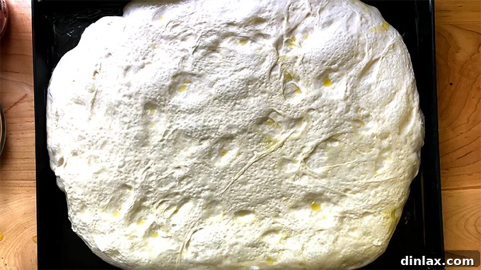 Close-up of fully proofed Pissaladière dough on a sheet pan, showing its inviting bubbly texture, ready for the next step.