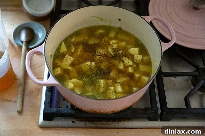 A large pot with potatoes, leeks, vegetable stock, and pepper, ready to simmer.