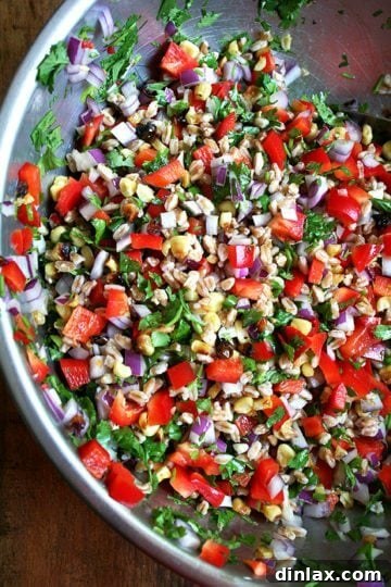 Hearty Farro Salad with Roasted Corn, Red Peppers & Red Onions, a perfect summer dish.