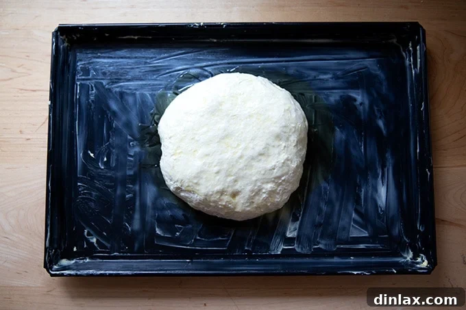 A ball of Sicilian-style pizza dough resting in a pool of olive oil at the center of a sheet pan, ready for proofing.