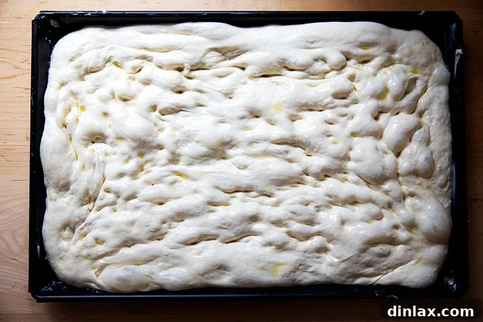 A sheet pan filled with perfectly dimpled Sicilian-style pizza dough, ready for parbaking.