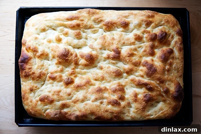 A perfectly parbaked Sicilian-style pizza crust, golden and risen in its pan, ready for toppings.