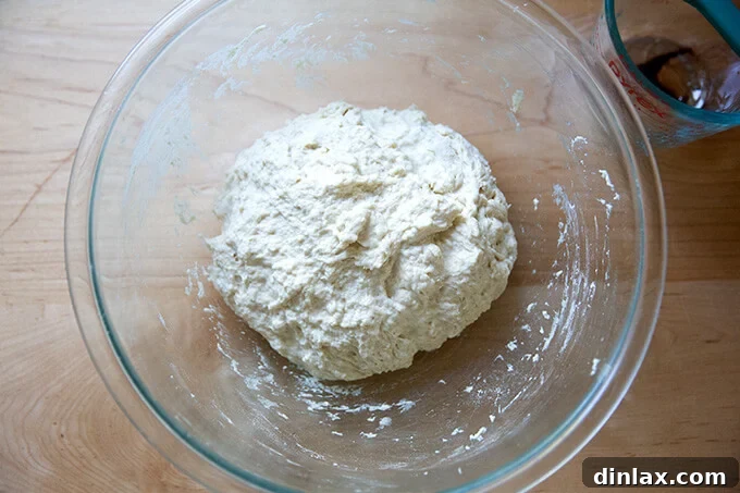 A freshly mixed, sticky focaccia dough ball in a bowl, showing its shaggy texture.