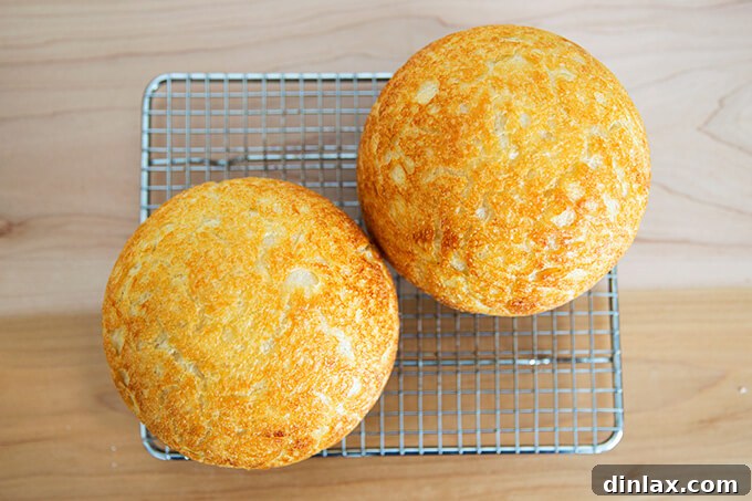 A beautifully baked sourdough peasant bread, with a rich, golden crust and inviting texture.