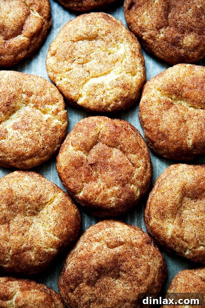 Golden Brown Butter Snickerdoodle Cookies 2 Freshly baked brown butter snickerdoodles arranged on a sheet pan, showcasing their golden-brown hue and cinnamon-sugar coating.
