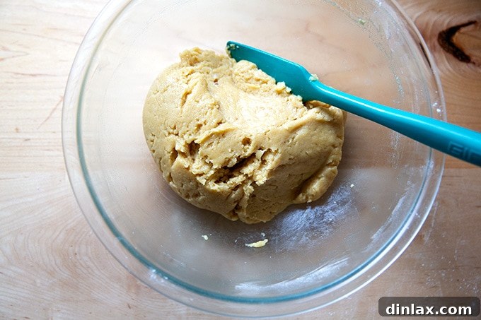 Golden Brown Butter Snickerdoodle Cookies 11 The snickerdoodle dough, fully mixed into a cohesive ball, showcasing its soft and pliable texture, ready for portioning.