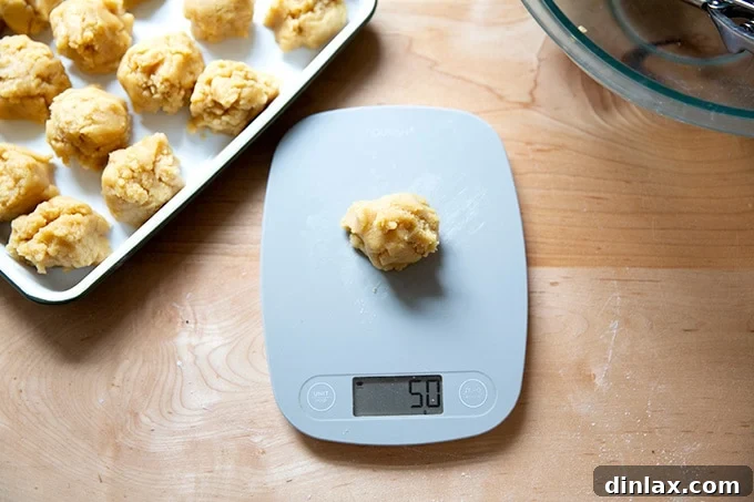 Golden Brown Butter Snickerdoodle Cookies 12 A single portioned snickerdoodle dough ball, precisely weighed at 50 grams, showcasing its readiness for shaping and coating.