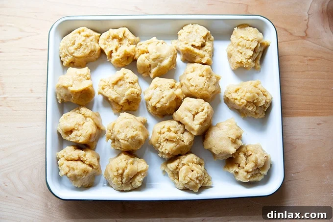 Golden Brown Butter Snickerdoodle Cookies 13 Multiple portions of snickerdoodle dough, scooped and arranged, ready for rolling and coating in cinnamon sugar.