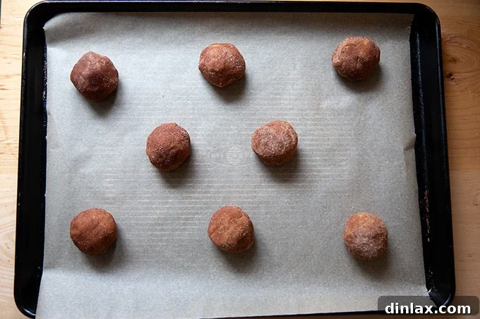 Golden Brown Butter Snickerdoodle Cookies 16 Eight unbaked brown butter snickerdoodle dough balls, evenly spaced and coated in cinnamon sugar, arranged on a parchment-lined sheet pan, ready for the oven.