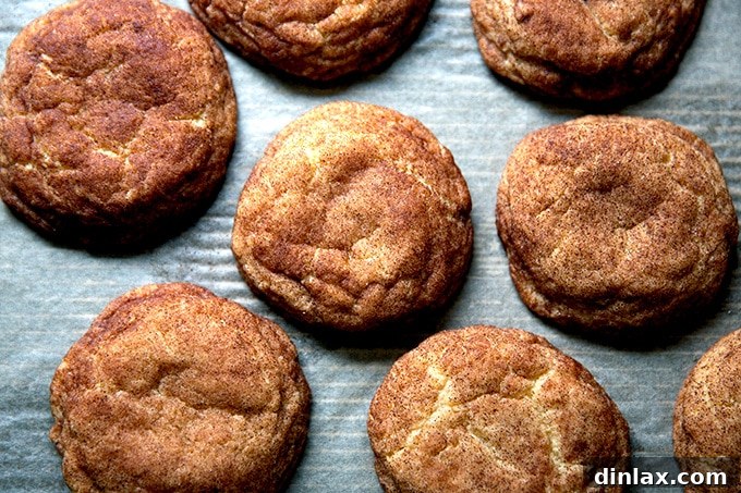 Golden Brown Butter Snickerdoodle Cookies 18 Freshly baked brown butter snickerdoodles cooling on a sheet pan, now slightly deflated and crinkled, indicating their soft and chewy texture.
