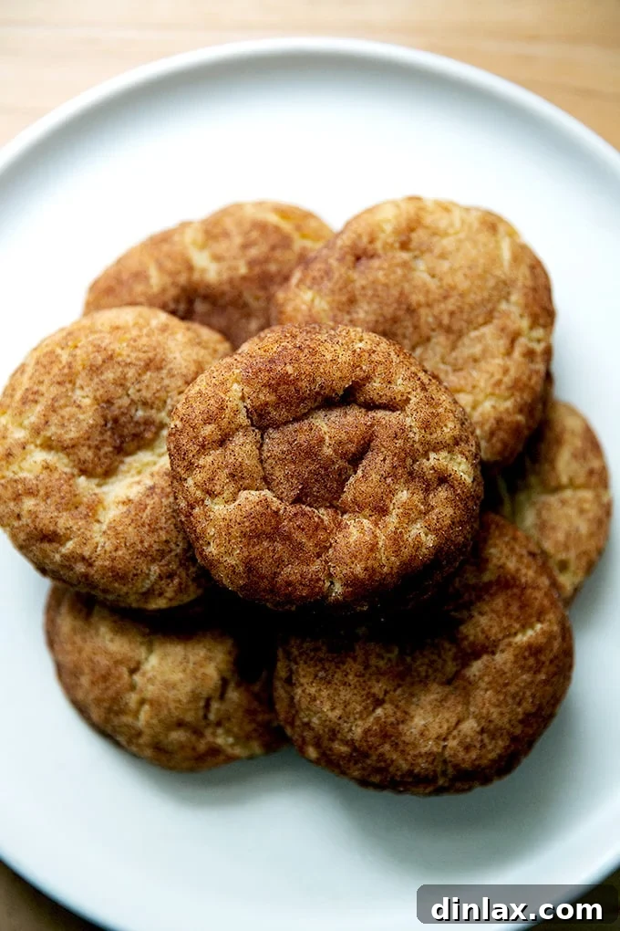Golden Brown Butter Snickerdoodle Cookies 20 A stack of golden-brown, sugar-crusted brown butter snickerdoodles neatly arranged on a plate, ready to be enjoyed.