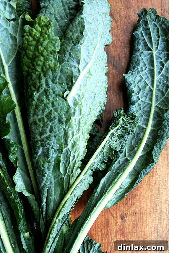 Fresh kale, vibrant and ready for salad