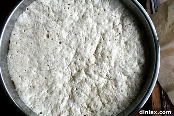 Lahey no-knead pizza dough, risen