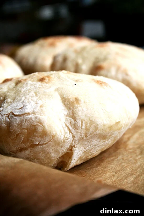 Just-baked piadines, golden and ready