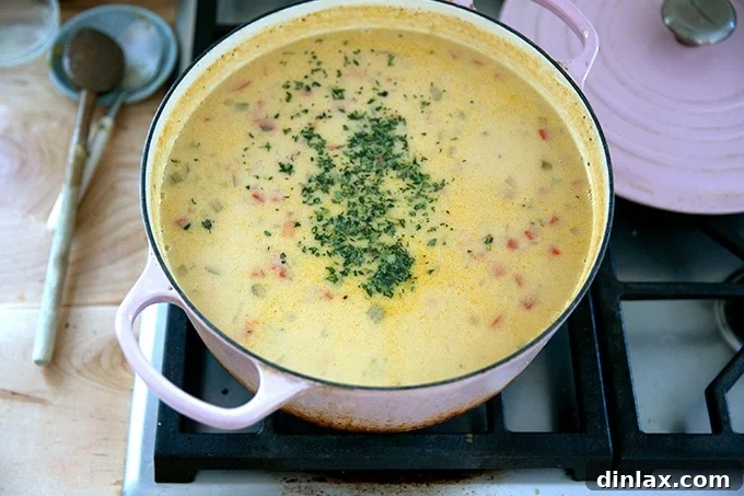 Fresh thyme sprigs added to the simmering soup, infusing it with aromatic herbal notes for a final touch of flavor.