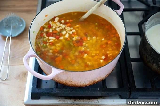 A large pot showcasing vegetables and rich vegetable stock, gently simmering on the stovetop, promising a delicious soup.