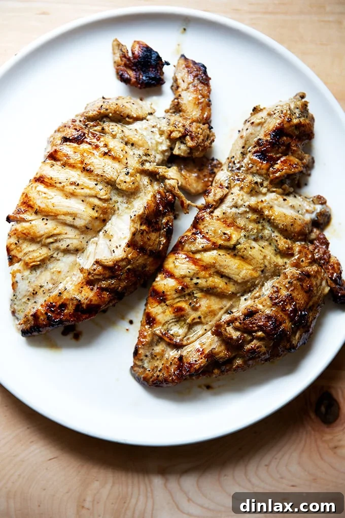 Simply Irresistible Grilled Chicken Breasts 15 Perfectly grilled chicken breasts resting on a plate, ready to be served after a brief cool-down period.
