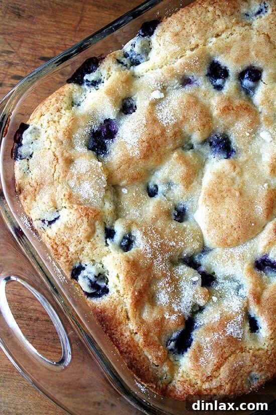 A delectable slice of buttermilk blueberry breakfast cake on a plate.