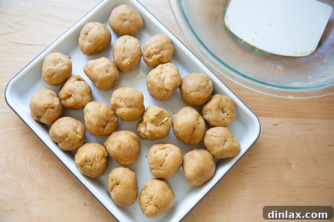 A small baking tray neatly holding several portioned balls of peanut butter cookie dough, uniformly sized and ready for the next step in the baking process.