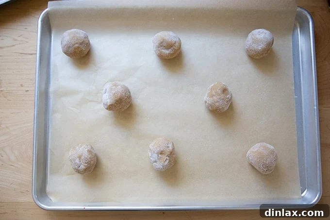 A baking sheet lined with parchment paper, holding an arrangement of sugar-coated peanut butter cookie dough balls, perfectly spaced and ready for the oven.