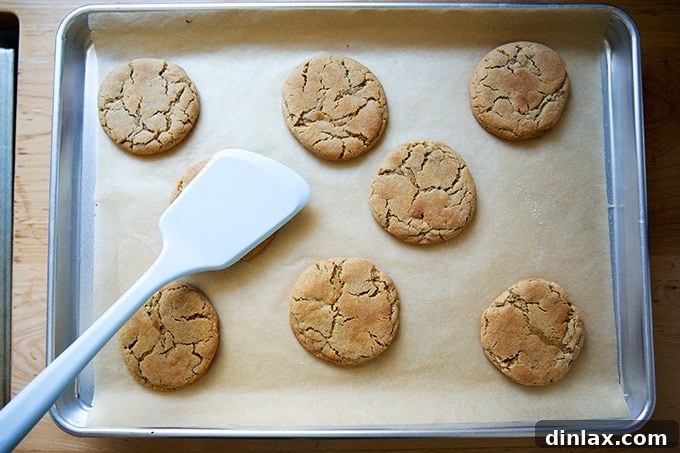 Freshly baked peanut butter cookies on a sheet pan, gently flattened with a spatula to create their signature crinkled texture, ready to cool.