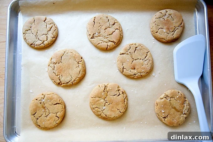 A sheet pan adorned with an array of just-baked and beautifully flattened peanut butter cookies, patiently cooling to achieve their ideal chewy texture and robust flavor.