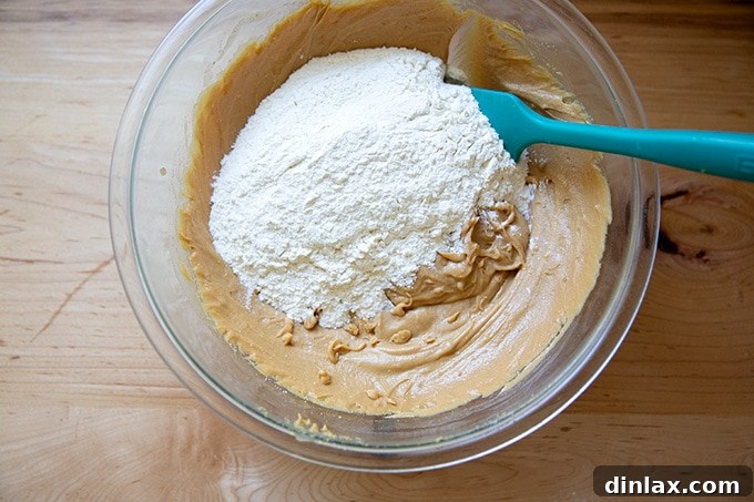 A large mixing bowl containing the nearly completed peanut butter cookie batter, with flour freshly added and ready to be gently folded in with a spatula.
