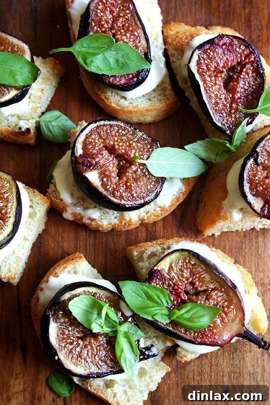 Roasted fig tartines with ricotta and fresh basil