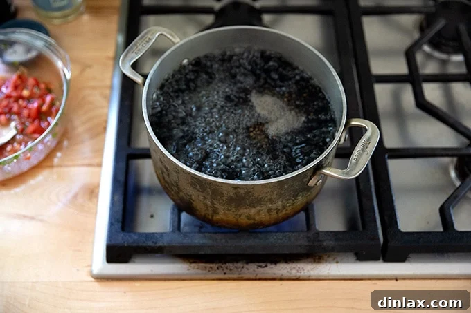 Homemade Trader Joe's Style Bruschetta Sauce 12 A pot of lentils boiling stovetop.