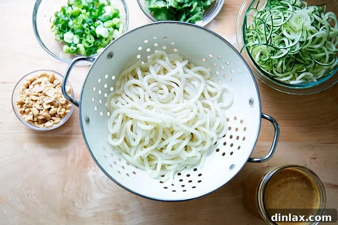 Refreshing Peanut Noodle Salad with Crisp Cucumbers 12 All the distinct components of the peanut noodle salad—chopped peanuts, sliced scallions, cilantro, spiralized cucumbers, cooked noodles, and a jar of dressing—arranged neatly on a countertop before assembly.