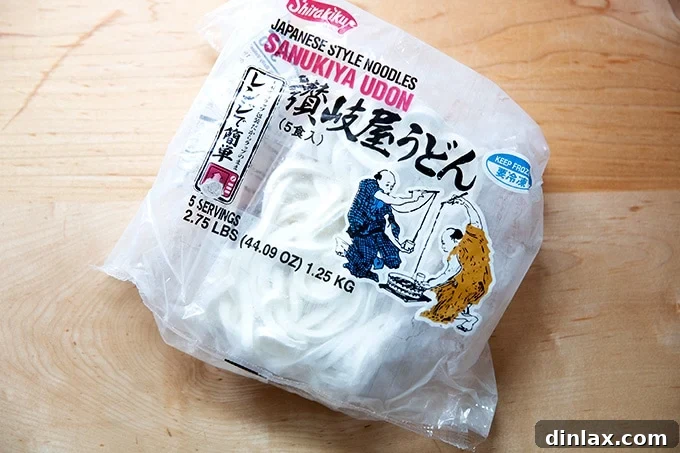 Refreshing Peanut Noodle Salad with Crisp Cucumbers 10 A clear plastic package of frozen udon noodles, highlighting the thick, white strands, often available in Asian grocery stores.