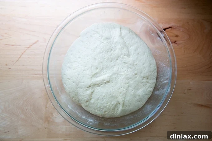 Pillowy Soft Pretzels Made Simple 11 Risen pretzel dough in a bowl, showing a slight increase in volume.