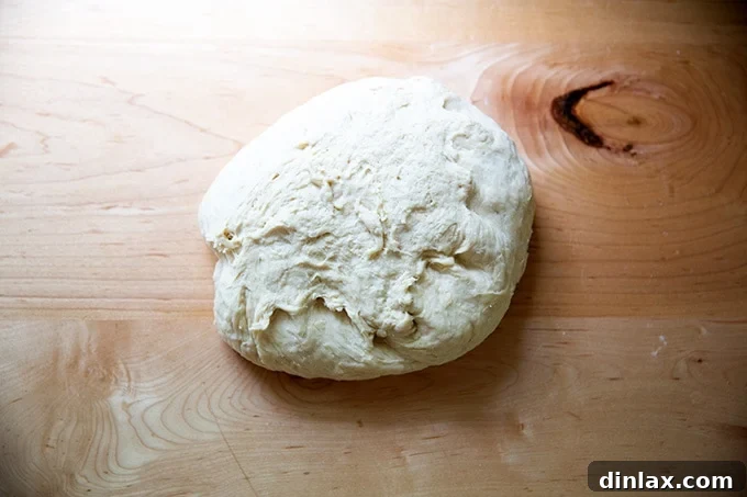 Pillowy Soft Pretzels Made Simple 12 Soft pretzel dough turned out onto a countertop, ready for dividing.