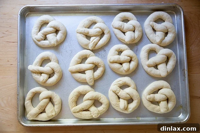 Pillowy Soft Pretzels Made Simple 20 Unbaked soft pretzels arranged neatly on an oiled sheet pan.