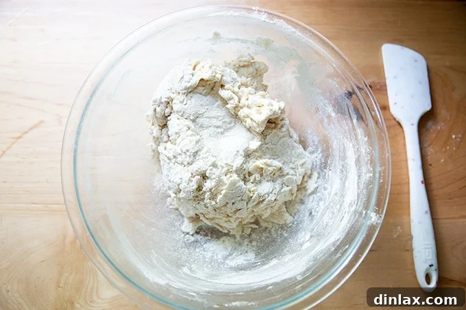 Pillowy Soft Pretzels Made Simple 6 Mixed pretzel dough in a bowl, appearing shaggy and somewhat unformed.