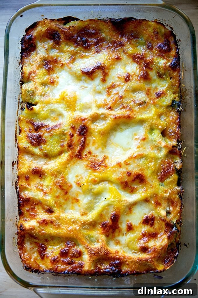 Effortless Butternut Squash Lasagna with Hearty Greens and Mushrooms 20 A magnificent, just-baked butternut squash lasagna, still bubbling and golden, featuring a rich blend of greens and mushrooms, fresh from the oven.