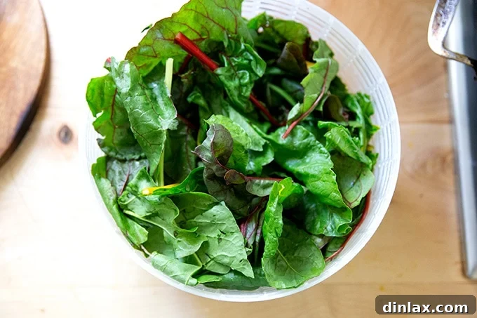 Effortless Butternut Squash Lasagna with Hearty Greens and Mushrooms 6 Vibrant green Swiss chard leaves being washed and spun dry in a clear salad spinner, preparing them for cooking.