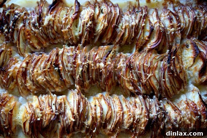Just-baked hasselback potato gratin.
