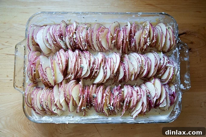 A baking dish filled with thinly sliced potatoes arranged vertically, coated in a creamy sauce, ready for the oven.