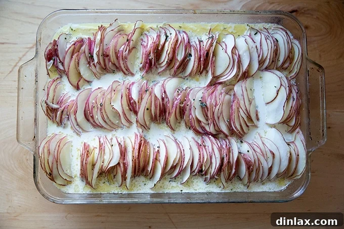 Hasselback potato gratin in a baking dish after 30 minutes of covered baking, now uncovered with potatoes starting to soften.