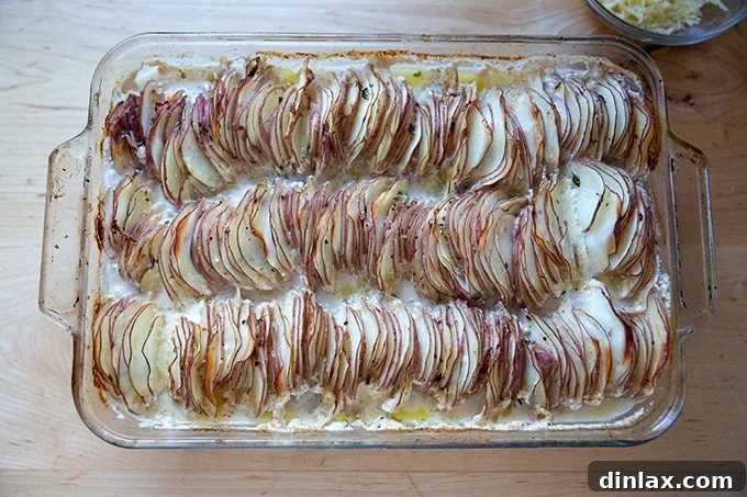 Hasselback potato gratin after 60 minutes of total baking (30 covered, 30 uncovered), showing tender potatoes and a lightly golden surface.