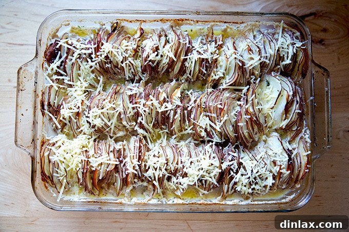 Hasselback potato gratin after 60 minutes of baking, now generously sprinkled with the reserved grated cheese, ready for its final bake.