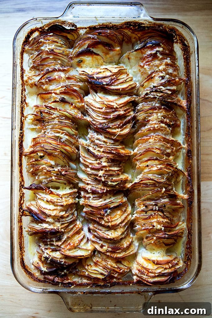 A breathtaking, freshly baked Hasselback potato gratin, perfectly golden and bubbling, straight from the oven.